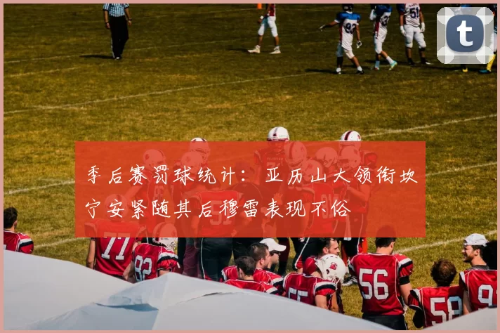 季后赛罚球统计：亚历山大领衔坎宁安紧随其后穆雷表现不俗